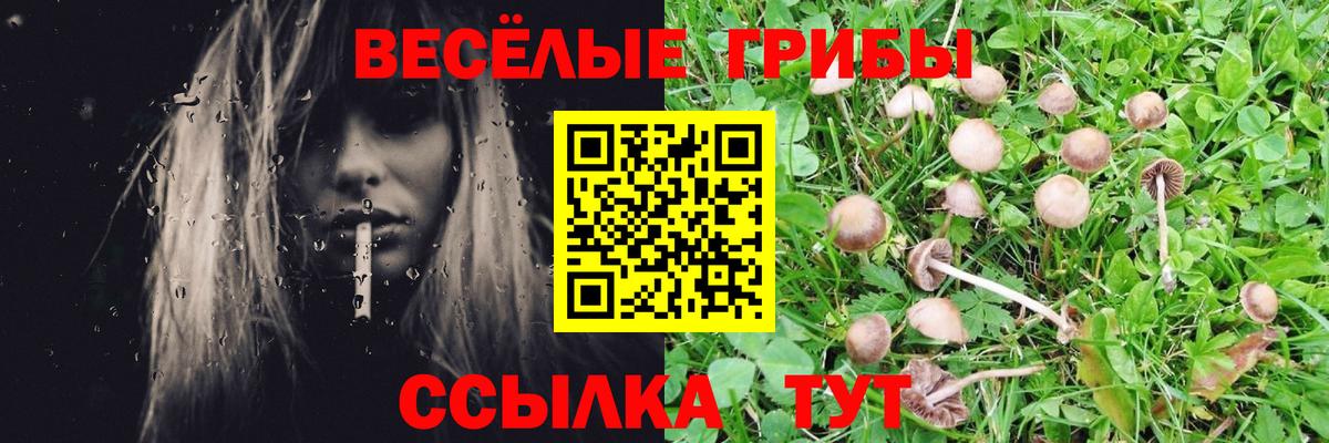 Галлюциногенные грибы мухоморы Ессентуки